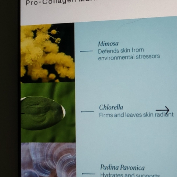 NEW ELEMIS Pro~Collagen Marine Cream - Picture 7 of 9